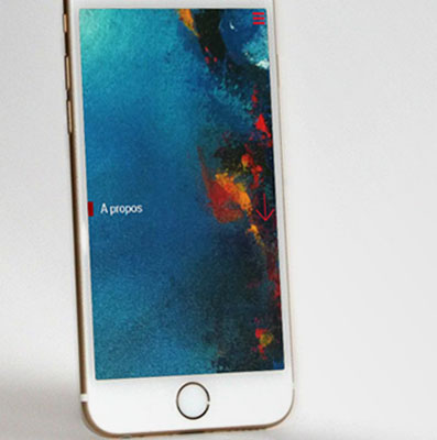 Portfolio Image